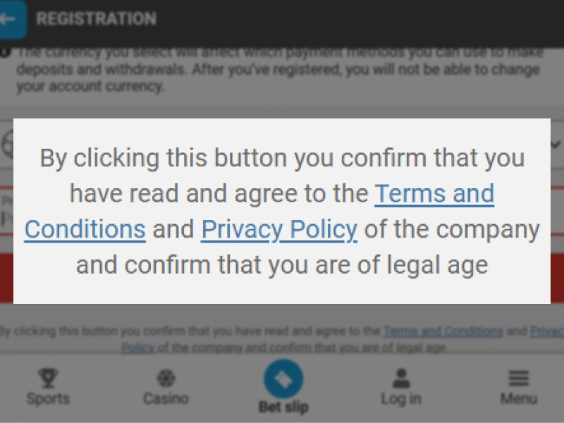 Registration page showing checked box for agreeing to Terms and confirming legal age.